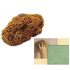 SPUGNA MARINA NATURALE MISURA 16 PER PITTURA DECORAZIONE EDILIZIA