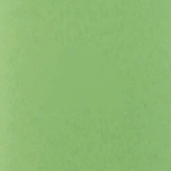 Sunflower Cox861110 Sgorbia Per Legno 7 Sunflower Cox861110 Sgorbia Per Legno -Vendite Stanley || Ks Tools || MSW 15463017 3