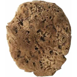 SPUGNA PER EFFETTI DECORATIVI Tipo Sintetico Ovale - Cm. 18 X 11 - DF 9032314