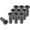 SWISSTOOLS - Vite Con Impronta Torx N. 2, Modello: S05/S07 -Vendite Stanley || Ks Tools || MSW 89854866 1